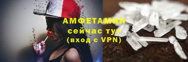 гидра Алексин