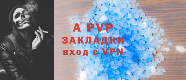 гидра Алексин