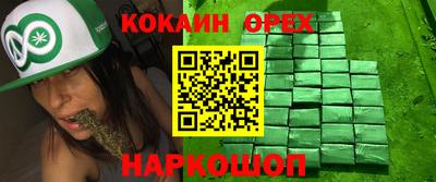 спайс Кандалакша