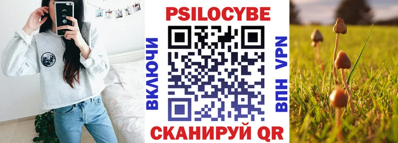 Псилоцибиновые грибы мицелий  где найти наркотики  Краснотурьинск 